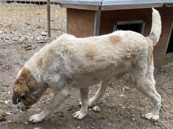 PIT -  vermittelt MH – Bild 13