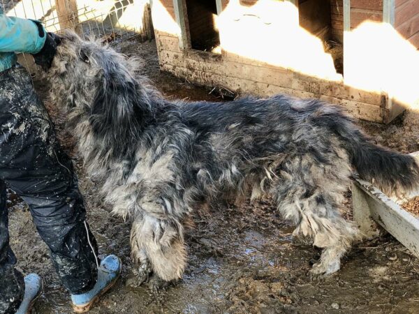 WICKET - vermisst 11/24 – Bild 9