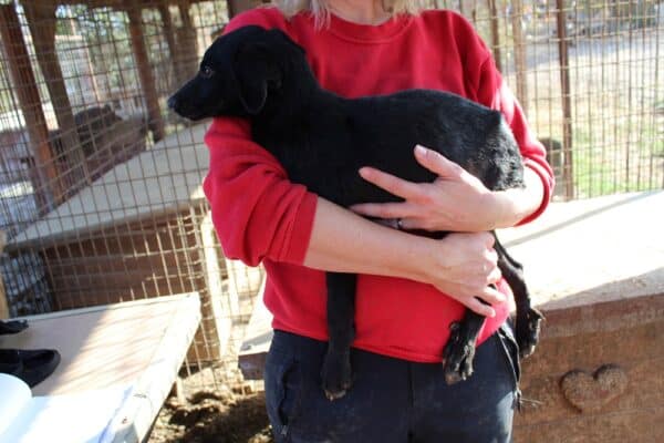 SPOCK - reserviert TH Filderstadt - vermittelt – Bild 2