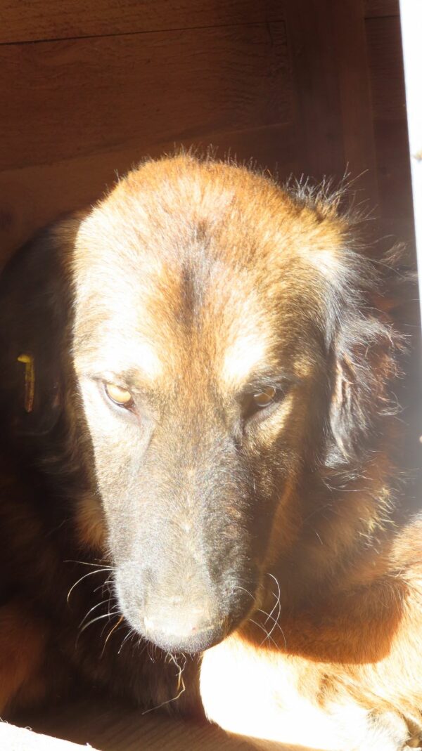 MARABU - vermisst 04/2023 – Bild 3