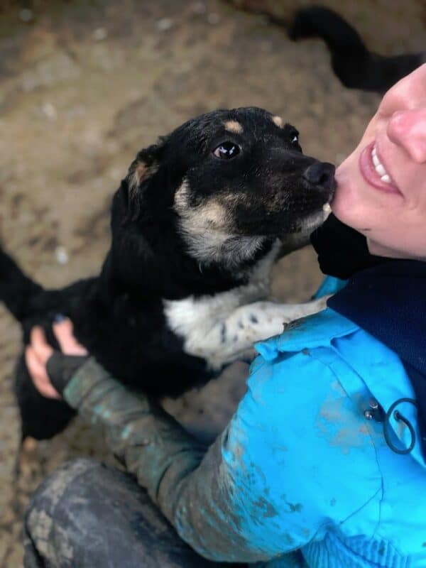 FINNY - reserviert TH Limburg  - vermittelt – Bild 3