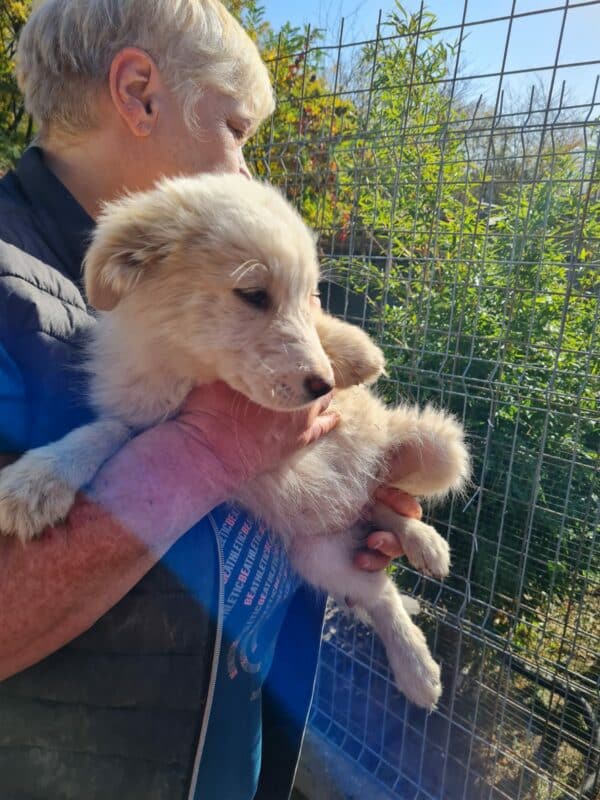 BINA - reserviert TH Limburg - vermittelt – Bild 2