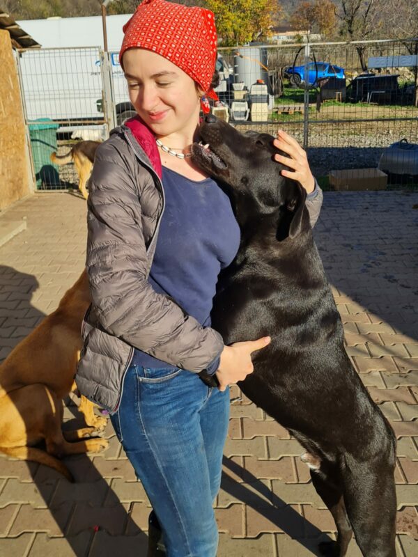 LUCIUS - reserviert Manuela - vermittelt – Bild 4