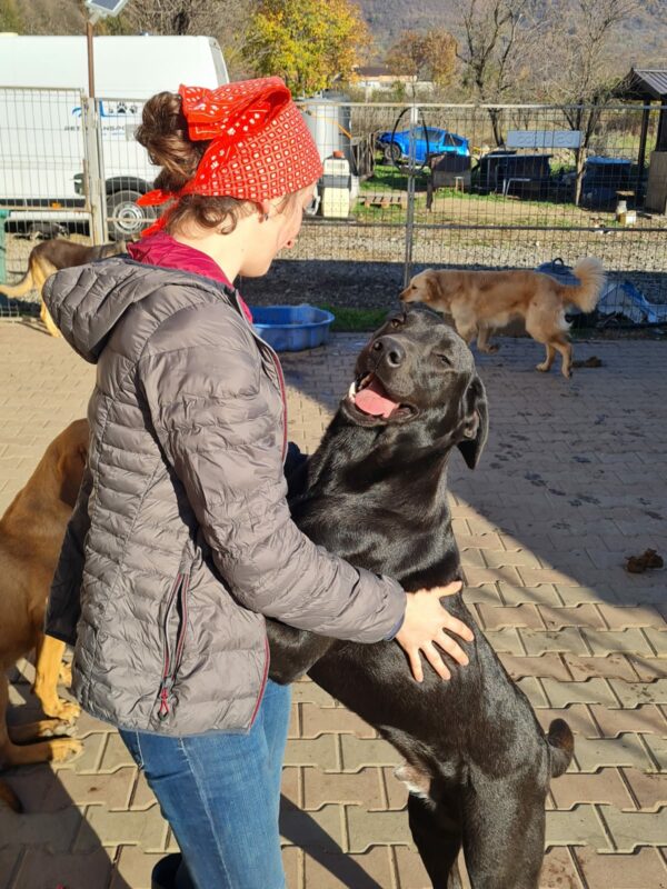 LUCIUS - reserviert Manuela - vermittelt – Bild 3