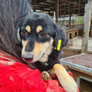 SIONA - RBB 03/23