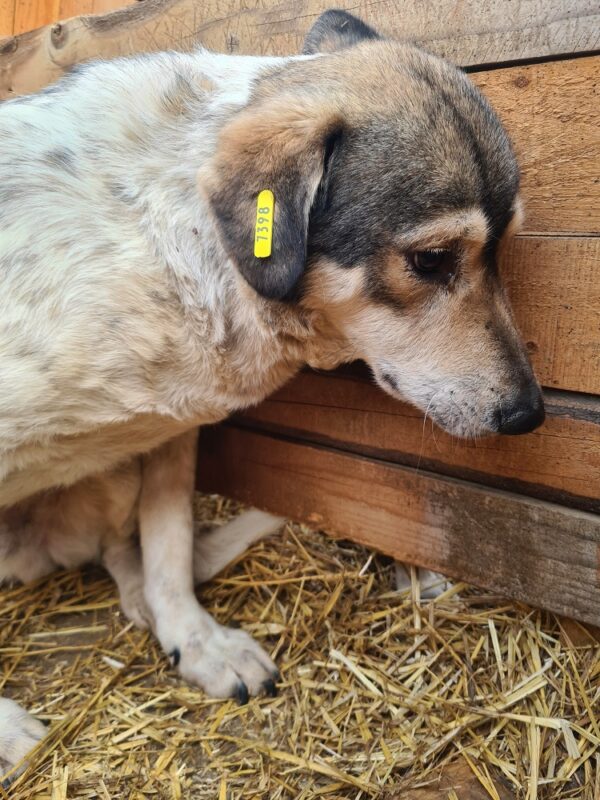 FINDUS (♂) – Bild 6