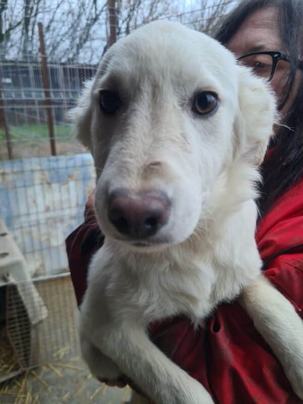SAMY - vermittelt Betty – Bild 3
