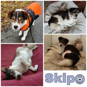 Skip RBB 03/23