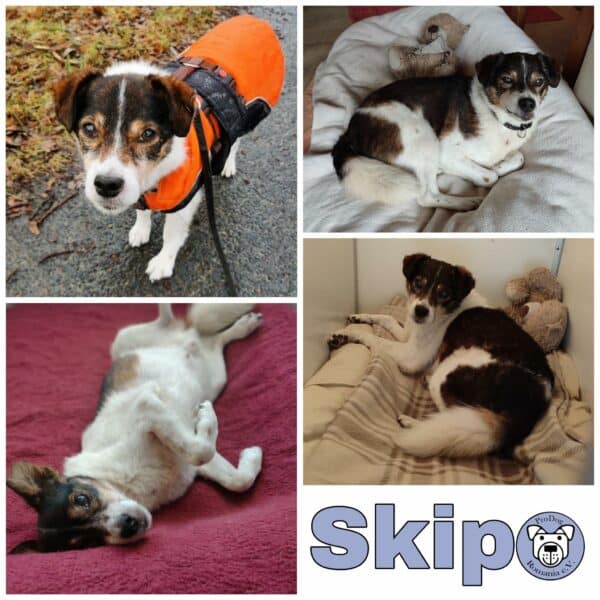 Skip RBB 03/23