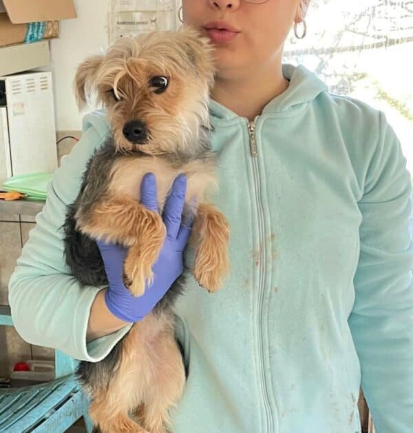 NAOMI - auf Pflegestelle in PLZ 2 *vermittelt* – Bild 3