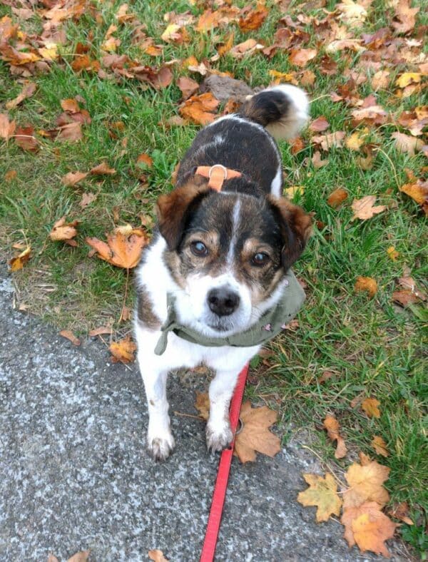 Skip RBB 03/23 – Bild 11