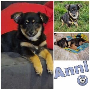 Anni in 97440 Werneck *vermittelt*