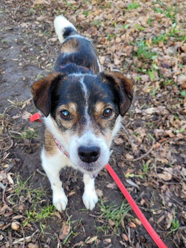 Skip RBB 03/23 – Bild 5