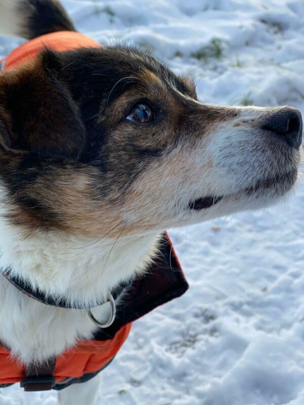 Skip RBB 03/23 – Bild 6