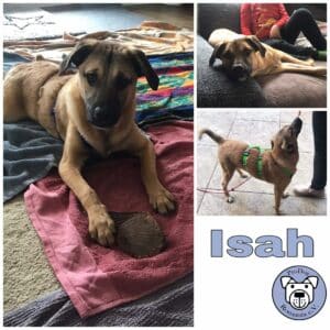 Isah in 92318 Neumarkt *vermittelt*