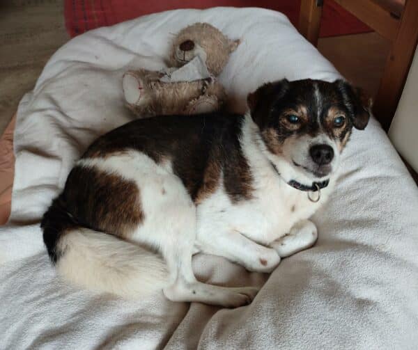 Skip RBB 03/23 – Bild 17