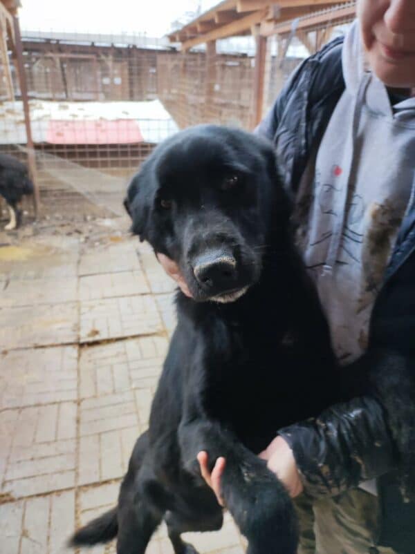 TITOU - reserviert Manuela  - vermittelt – Bild 4