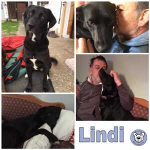 Lindi in 86853 Langerringen *vermittelt*