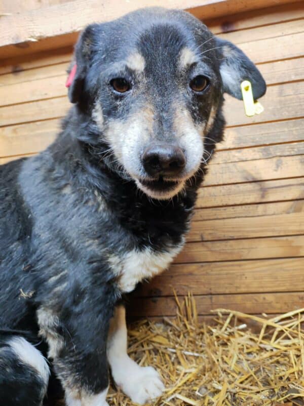 GREEDY - RBB 03/24 – Bild 5