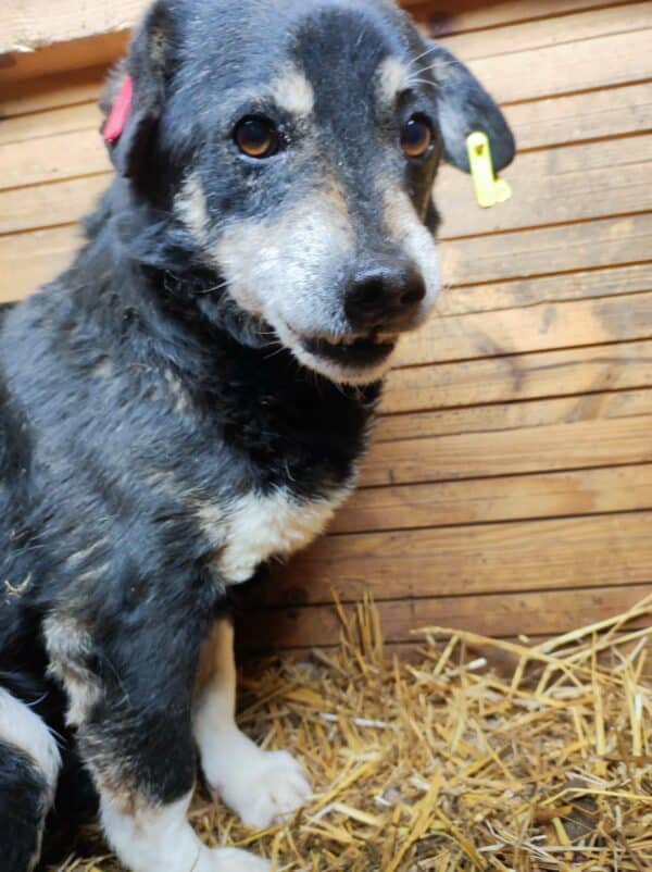GREEDY - RBB 03/24 – Bild 4