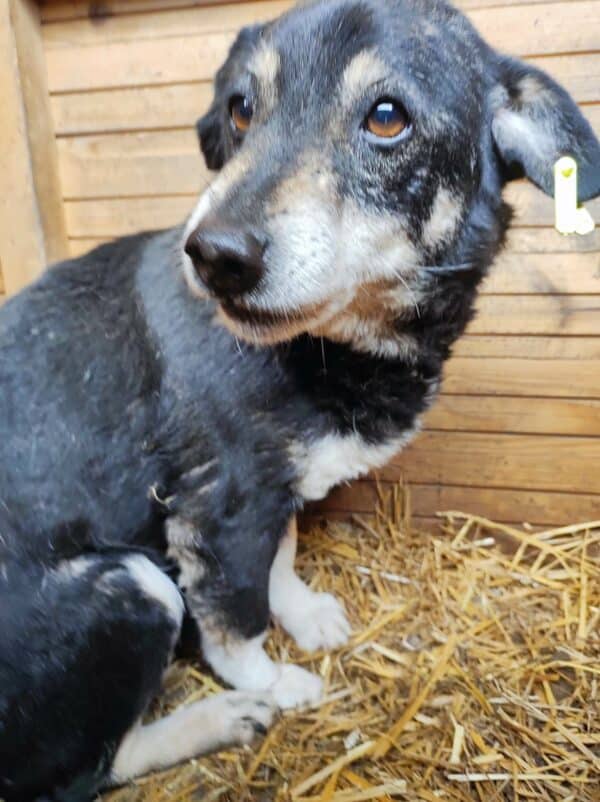 GREEDY - RBB 03/24 – Bild 2