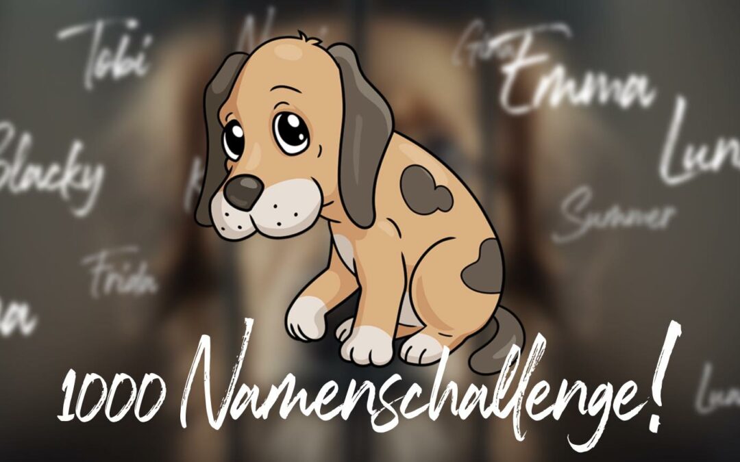 Die 1000 Namenschallenge