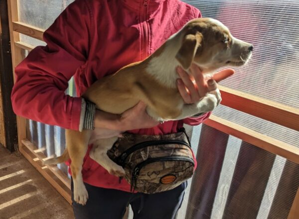 MARVIN - reserviert Alexandra - vermittelt – Bild 3