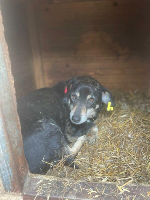 GREEDY - RBB 03/24 – Bild 7