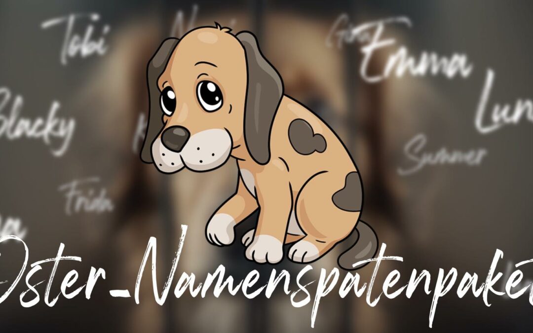 🐣 Oster-Paket Namenspate: Gib 5 Hunden ihren Namen!