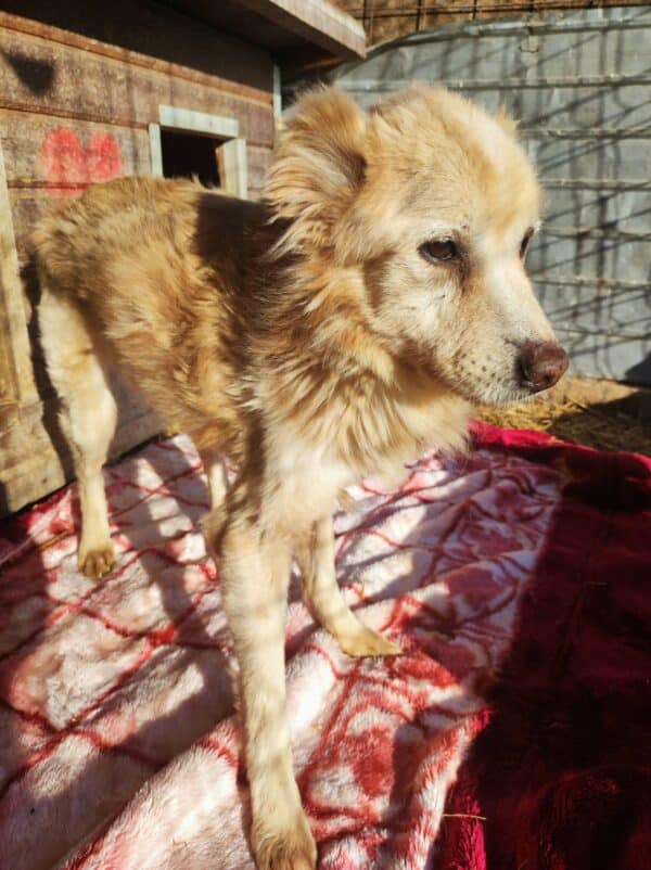 BENNIE - RBB 05/24 – Bild 5