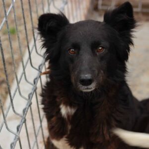 WEDNESDAY - reserviert TH Filderstadt - vermittelt