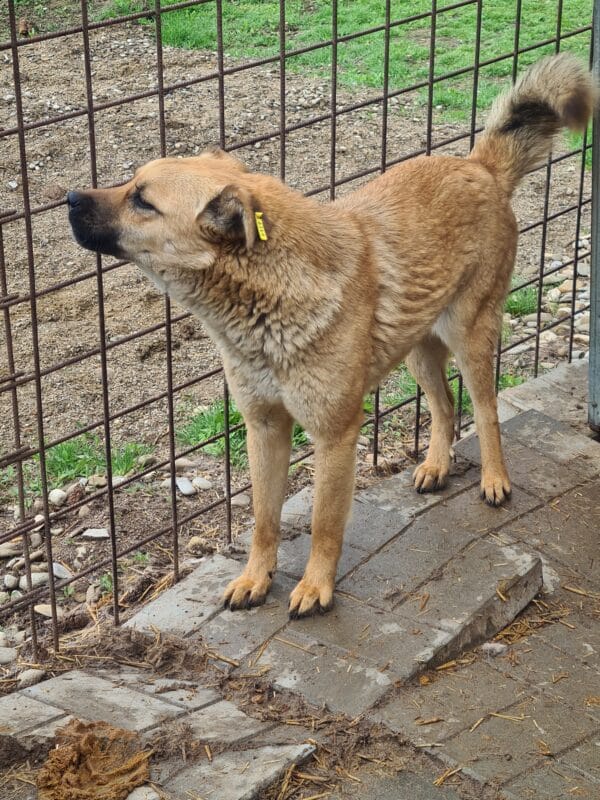 SIGYN (♀) – Bild 6