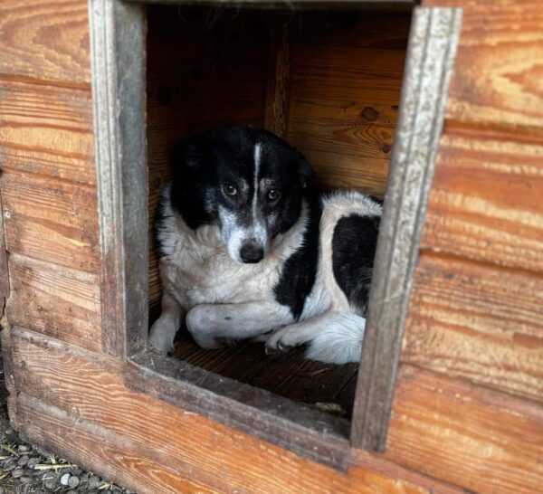 SOPHIE – Bild 2