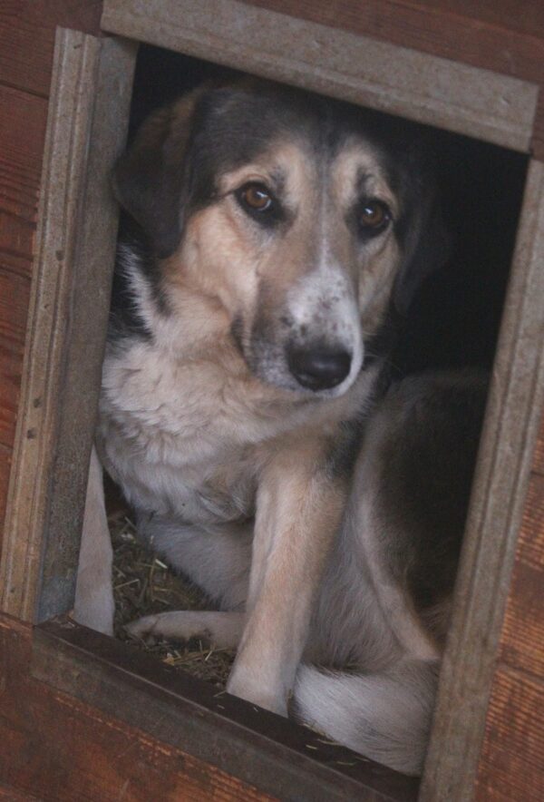 BIRTHE (♀) – Bild 5