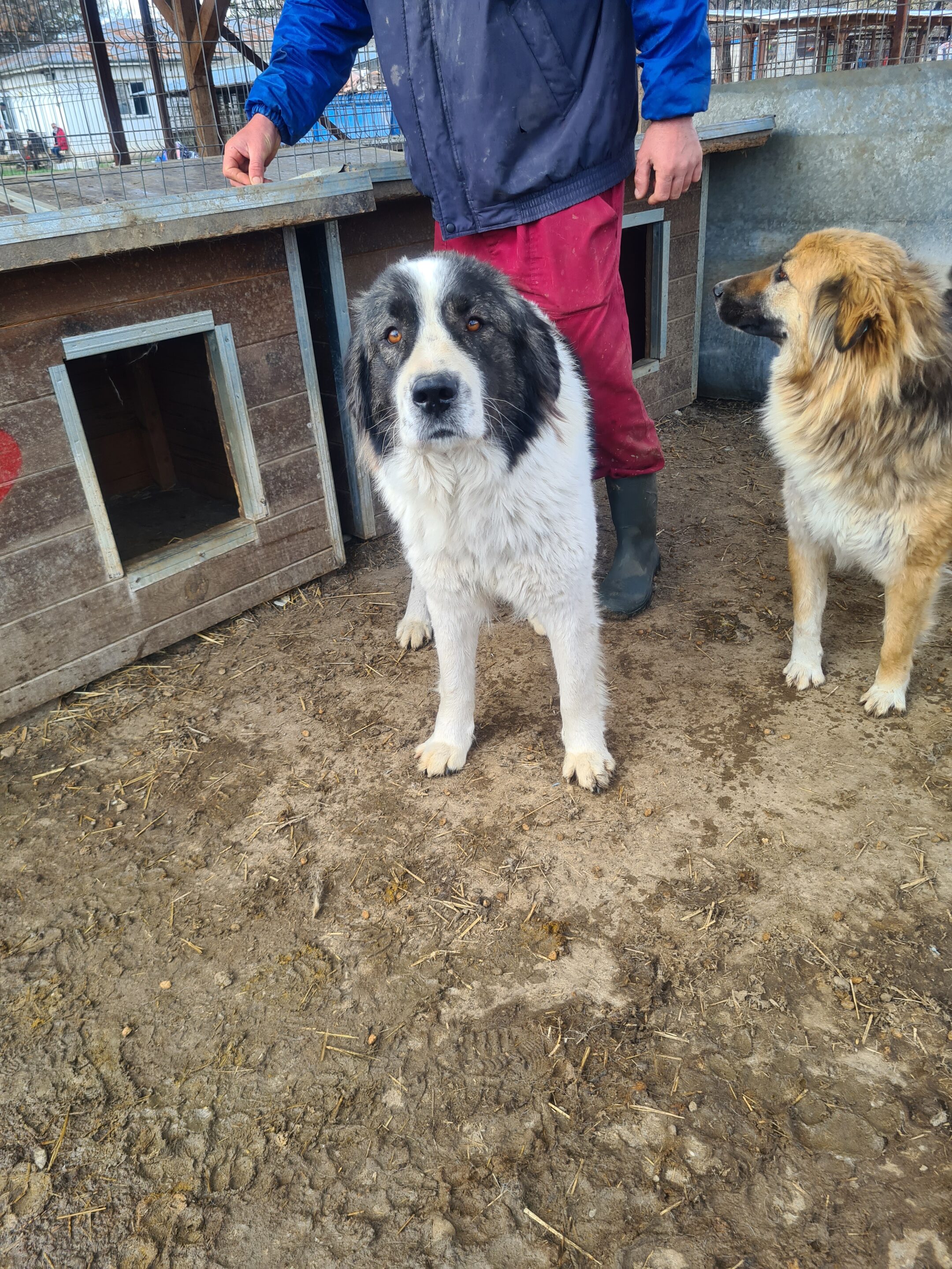 BERTHA - vermittelt Manuela – Bild 5