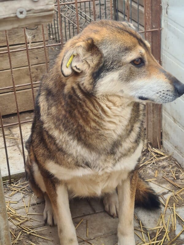 KARLINA (♀) – Bild 4