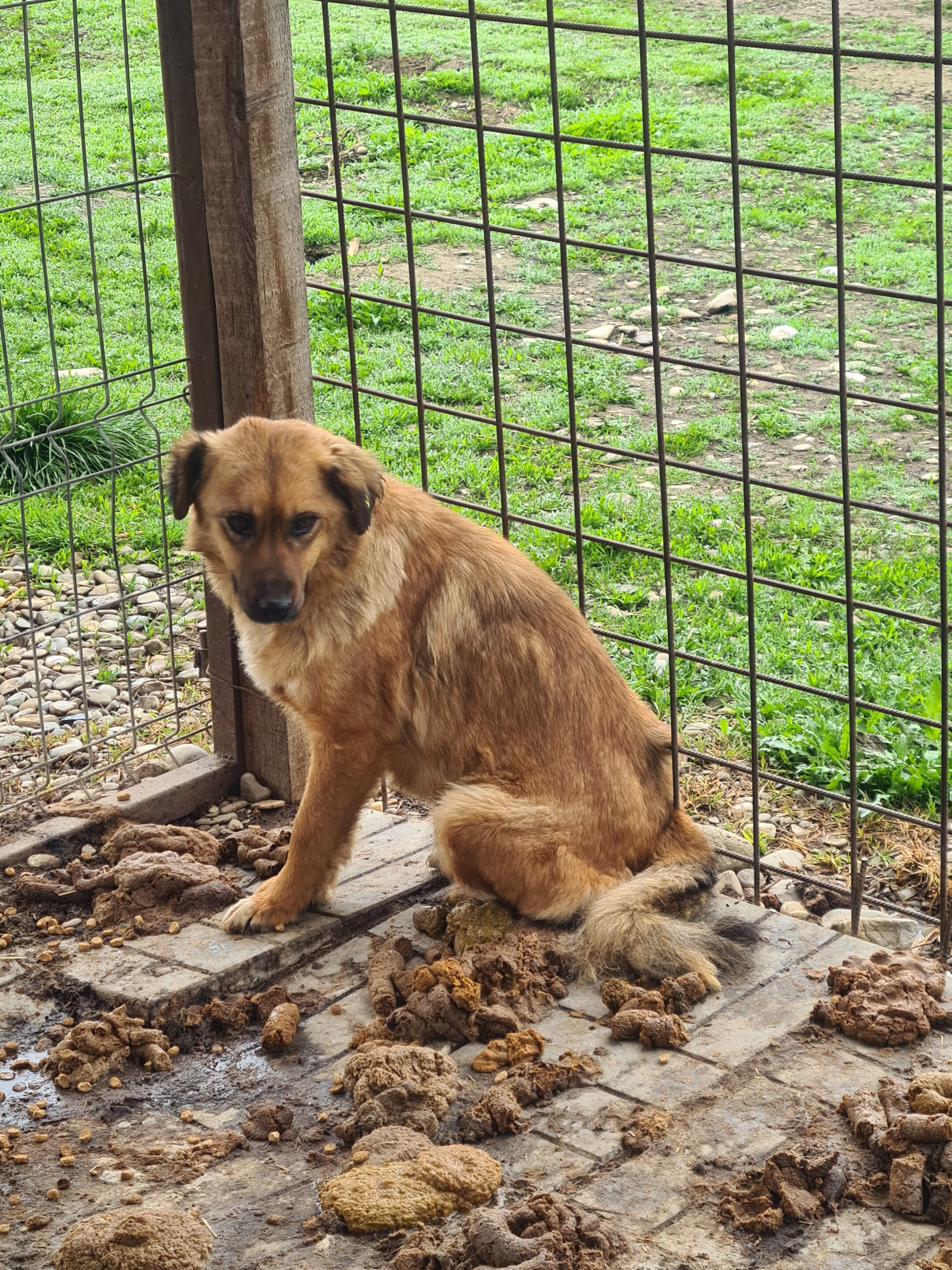 MALEWA (♀) – Bild 10