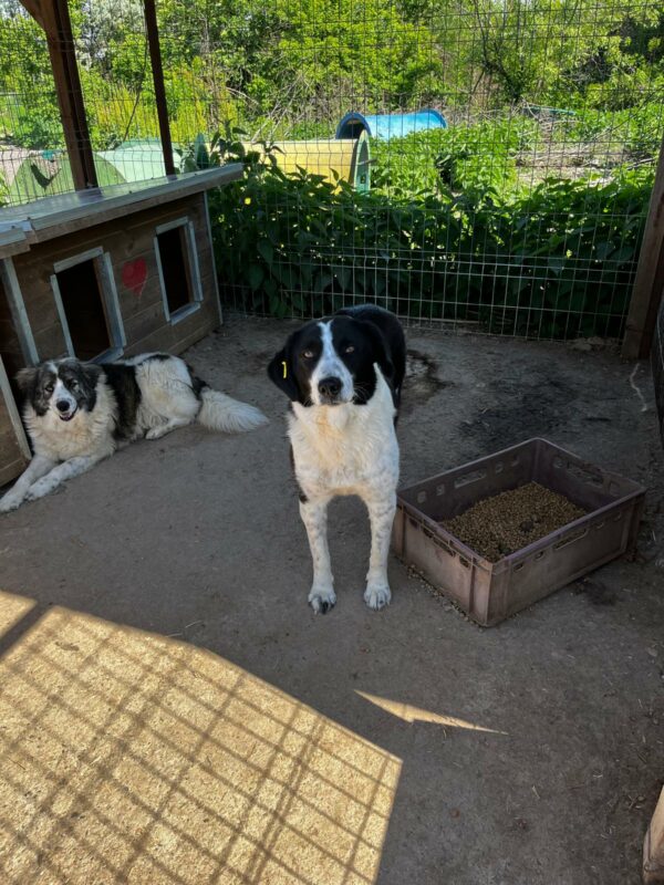 MIRIA (♀) – Bild 9