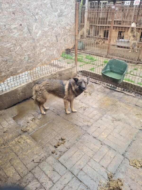 MUNA (♀) – Bild 4