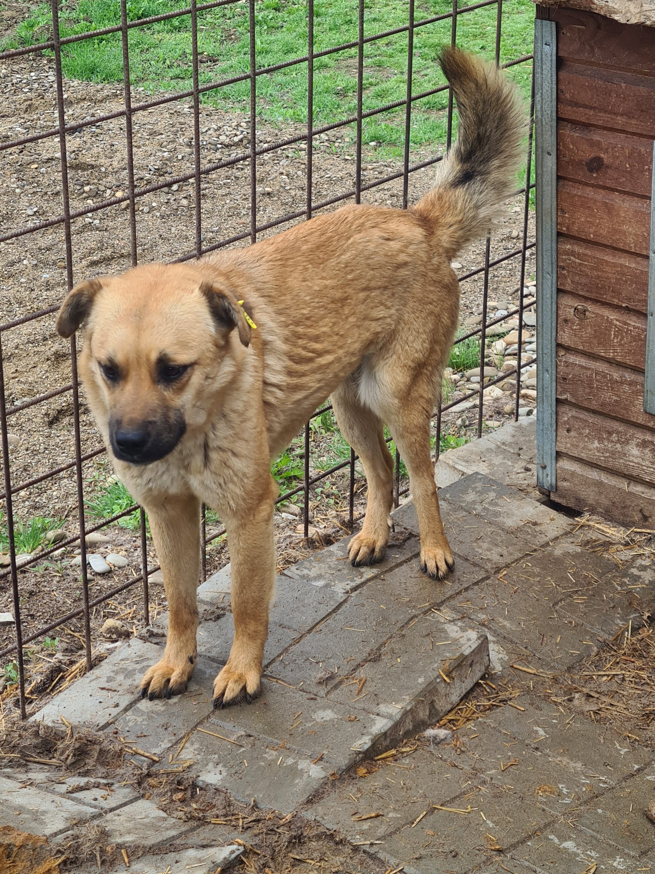 SIGYN (♀) – Bild 9