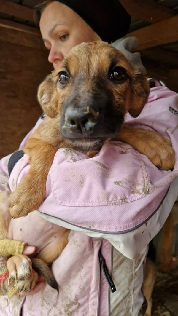 TRIXIE - vermittelt MD – Bild 3