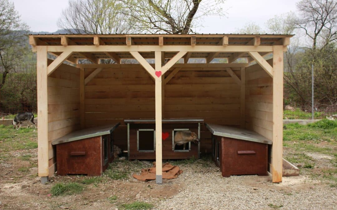 Updates zum Open Shelter Projekt in Baile Herculane 🔔