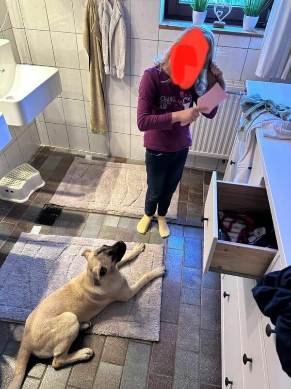 Holly in 53937 Schleiden - vermittelt – Bild 7