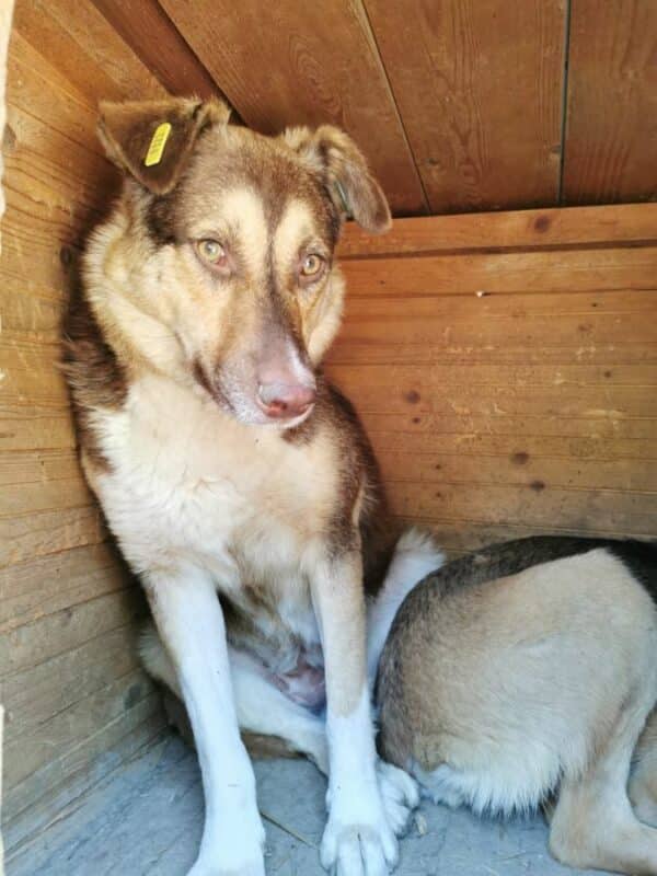 LENA (♀) – Bild 9