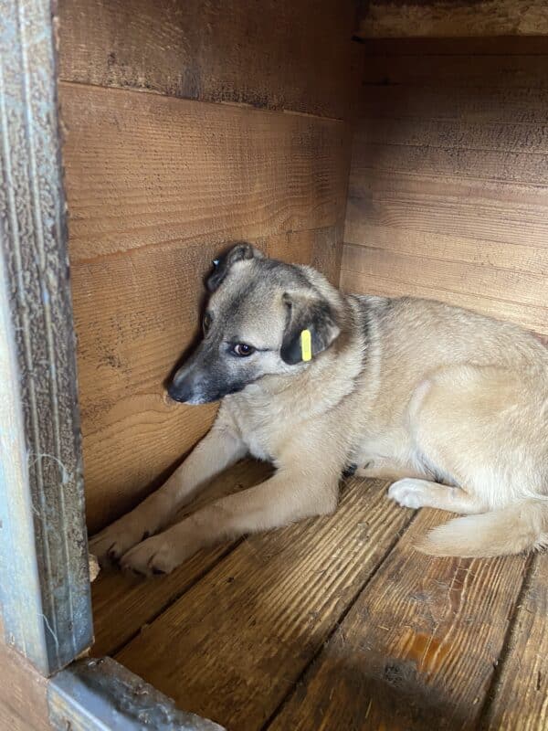 FEODORA (♀) – Bild 4