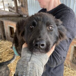 FABIENNE - RBB 05/23