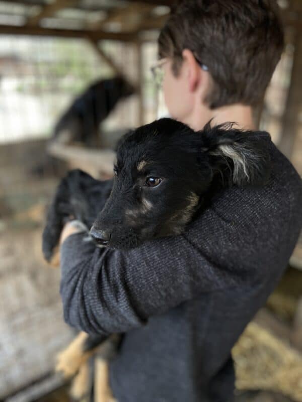 LAWA - beginnende Hautprobleme - reserviert Kinder- und Tierschutzhof Hahnenberg e.V. - vermittelt – Bild 5