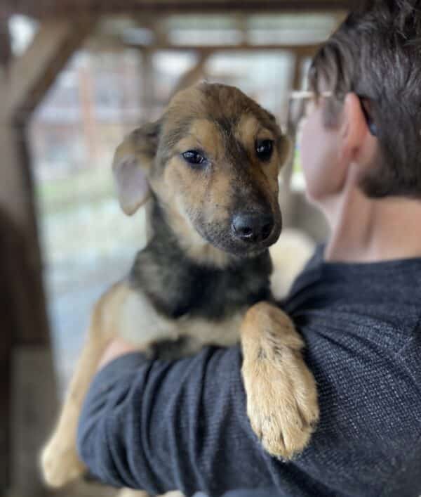 REGGIE - vermittelt JW – Bild 3
