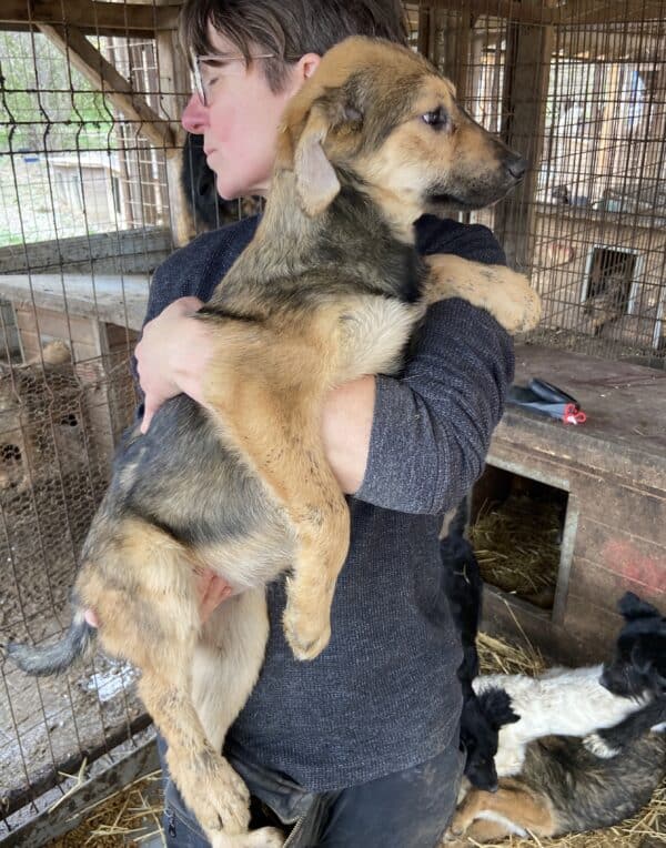 REGGIE - vermittelt JW – Bild 6