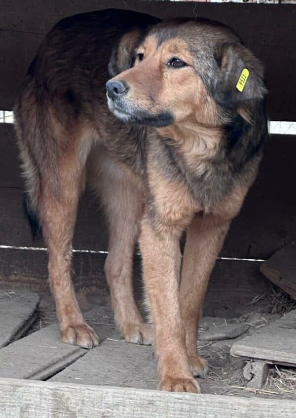 TOXI (♀) – Bild 7